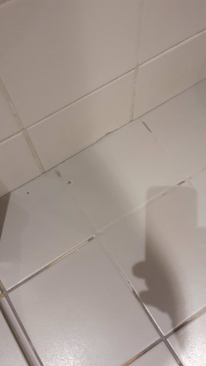 Defekte Fußbodenfliesen AHORN Waldhotel Altenberg