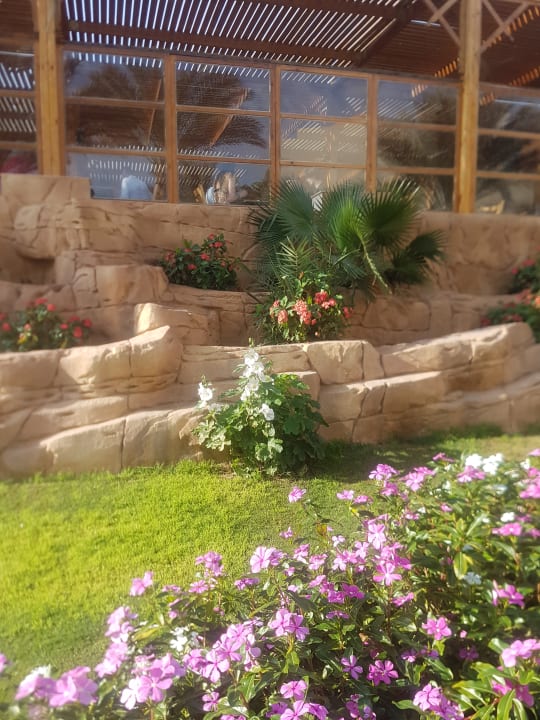 Gartenanlage Three Corners Sea Beach Resort