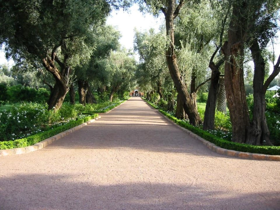Weg zum Gartenpavillion Hotel La Mamounia