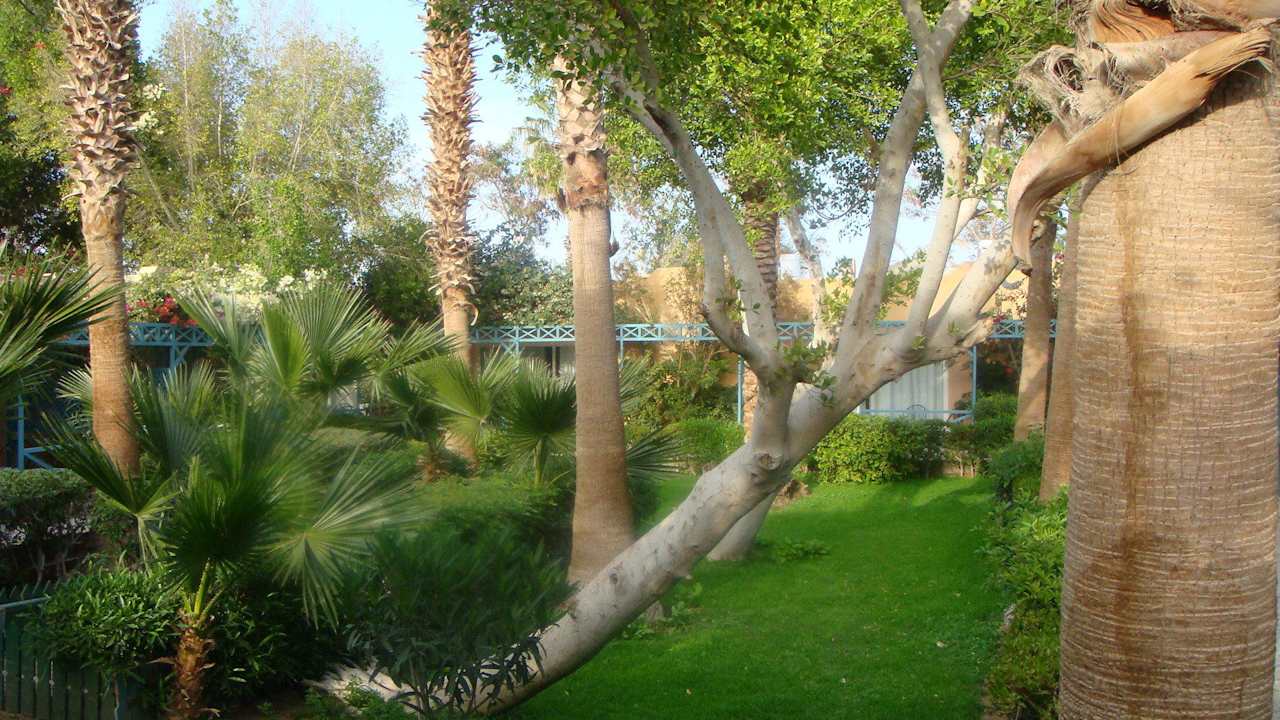 Gehwege zu den Bungalows Giftun Azur Resort