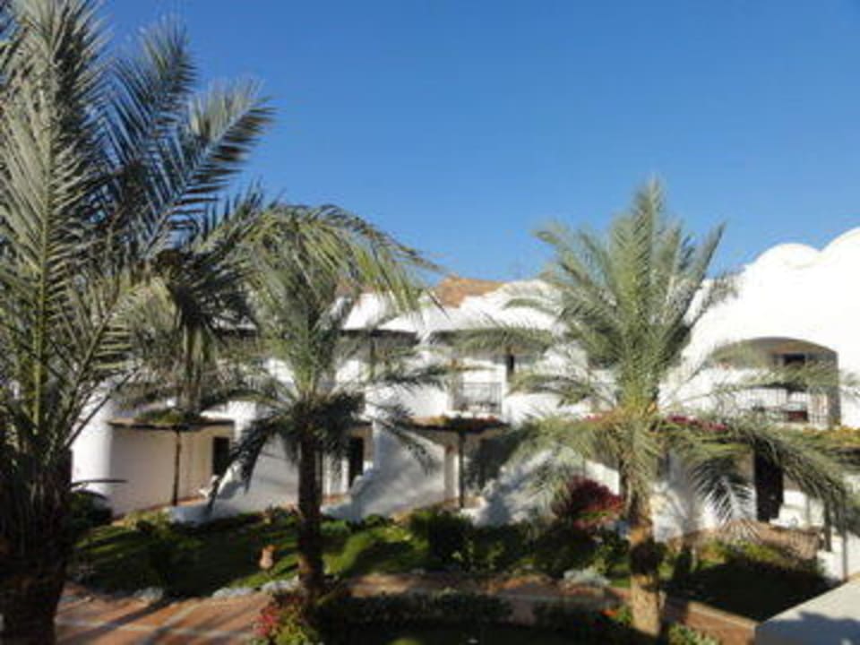 Aussicht JAZ Dahabeya