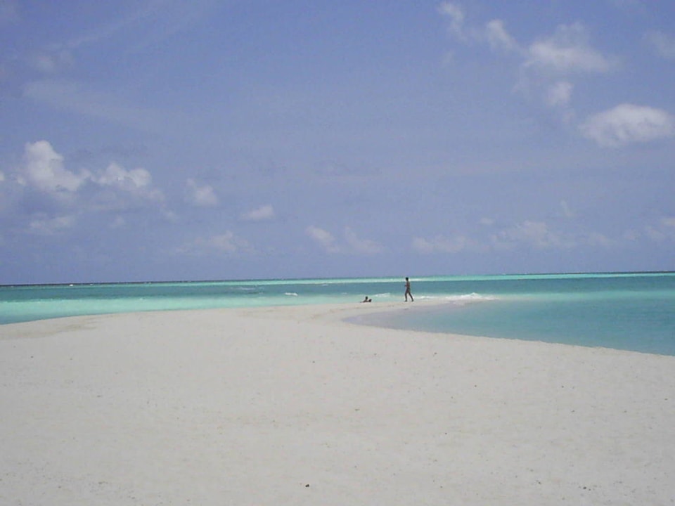 Sandbank Kuramathi Island Kuramathi Maldives