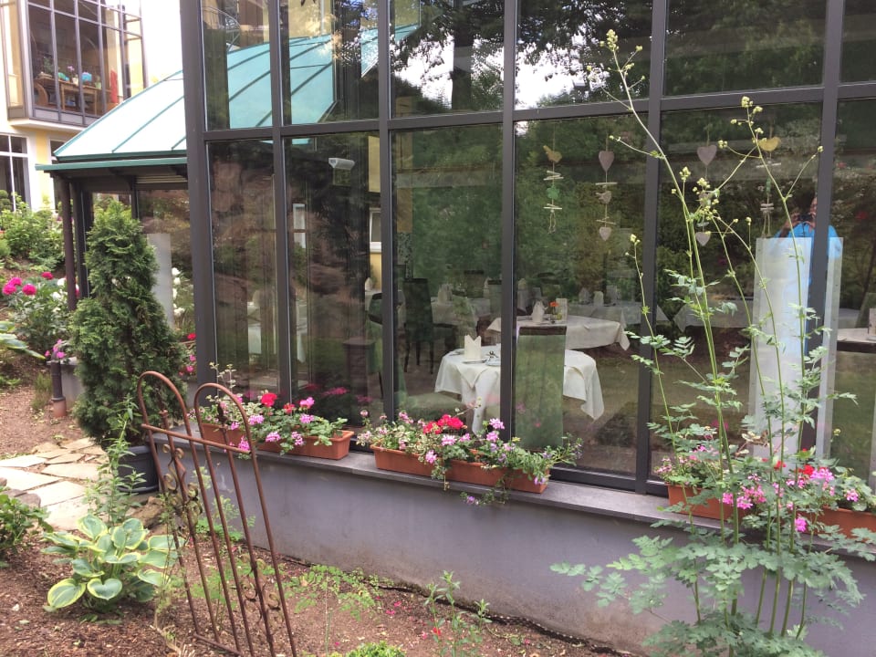 Gartenanlage Spirit & SPA Hotel Birkenhof am Elfenhain