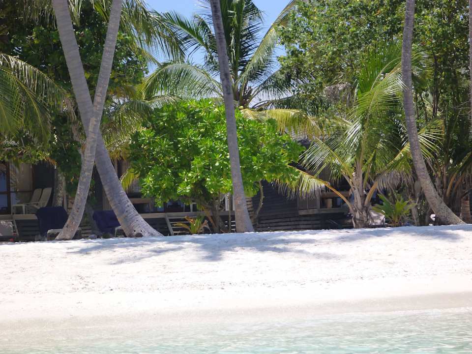Our beach Kuredu Island Resort & Spa