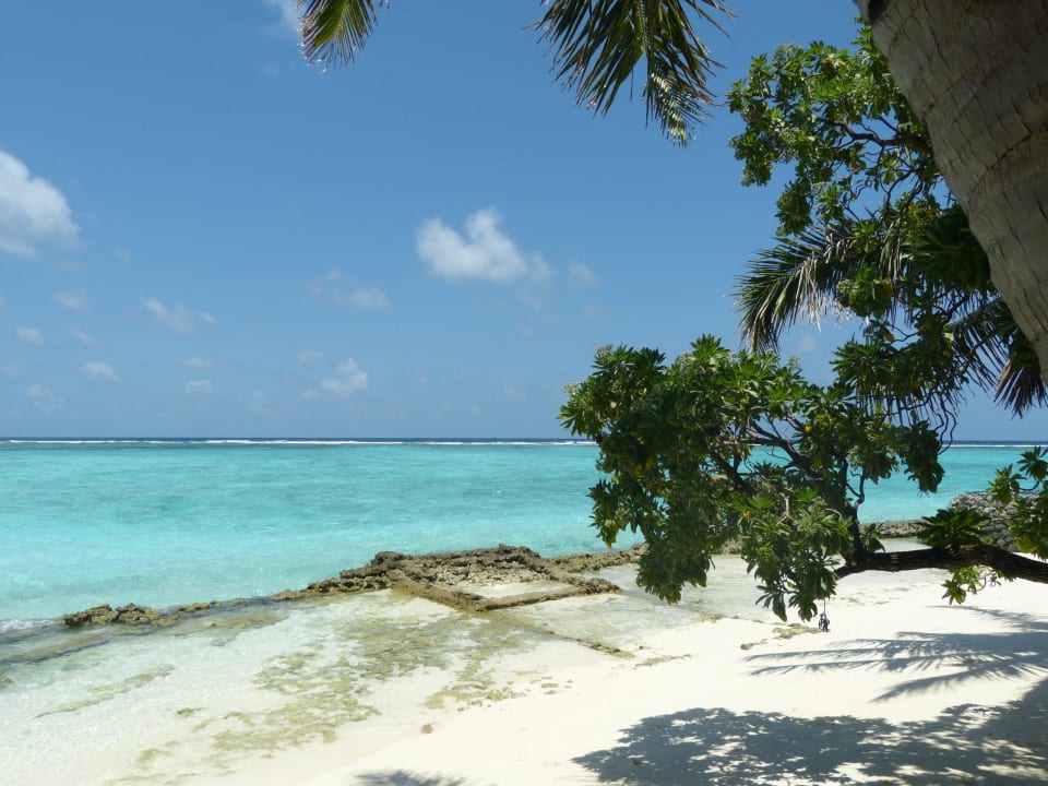 Strand Bungalows 228-232 Summer Island Maldives
