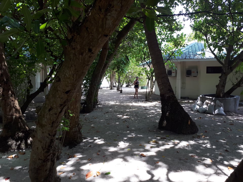 Zimmer Embudu Village