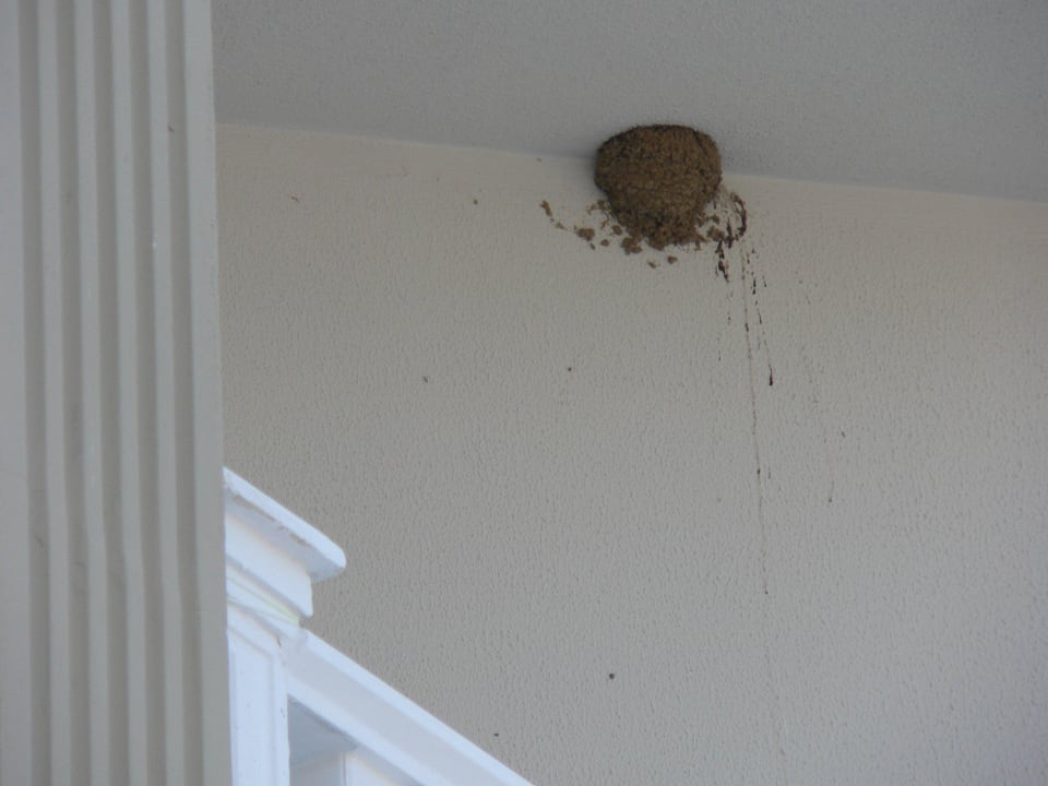 5 gwiazdek Justiniano Deluxe Resort