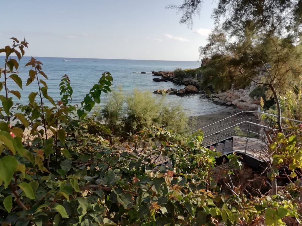 Außenansicht Crystal Springs Beach Hotel