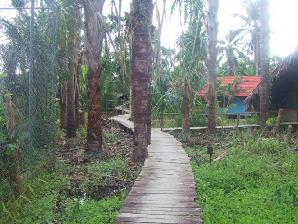 Bild vom Gang zu den Zimmern Hotel Orinoco Delta Lodge