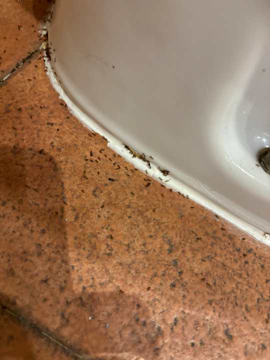 Zimmer Fuerteventura Princess