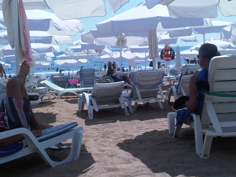 Strand und Pool Horus Paradise Luxury Resort & Club