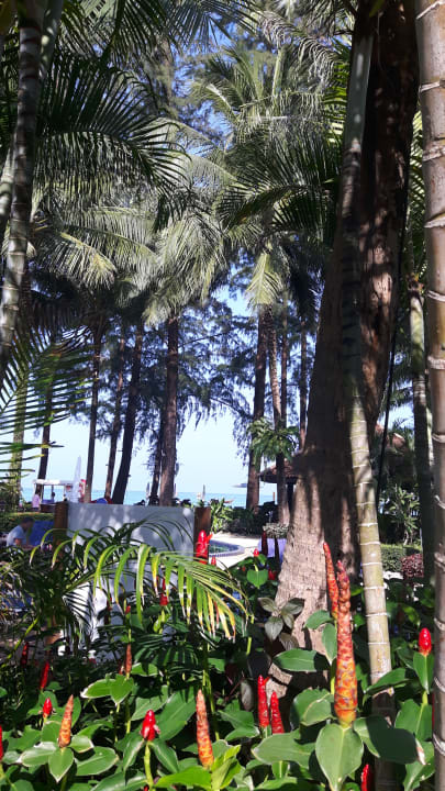 Gartenanlage Best Western Premier Bangtao Beach Resort & Spa