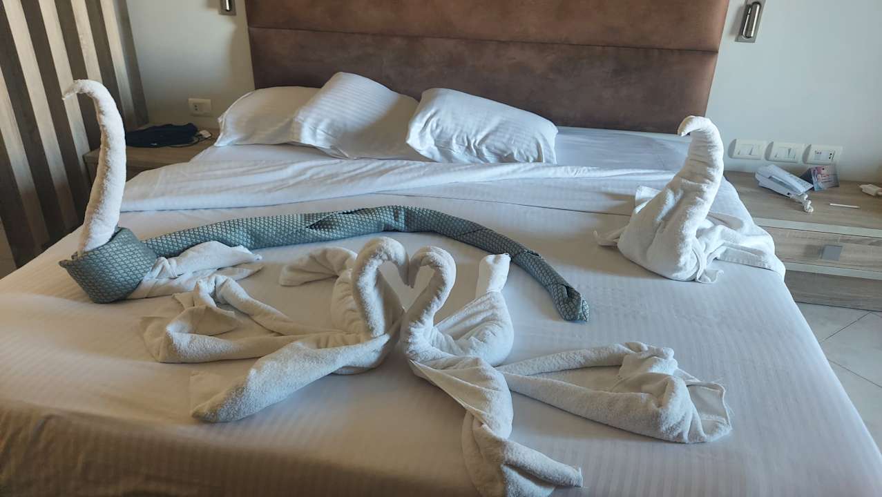 Zimmer Titanic Royal