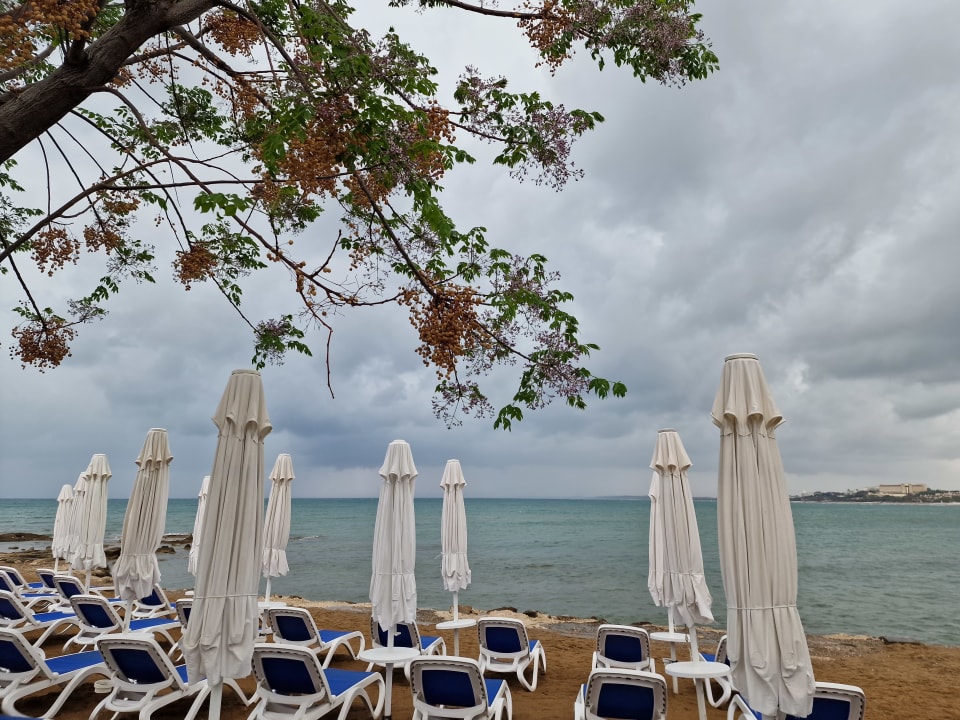 Strand Can Garden Beach