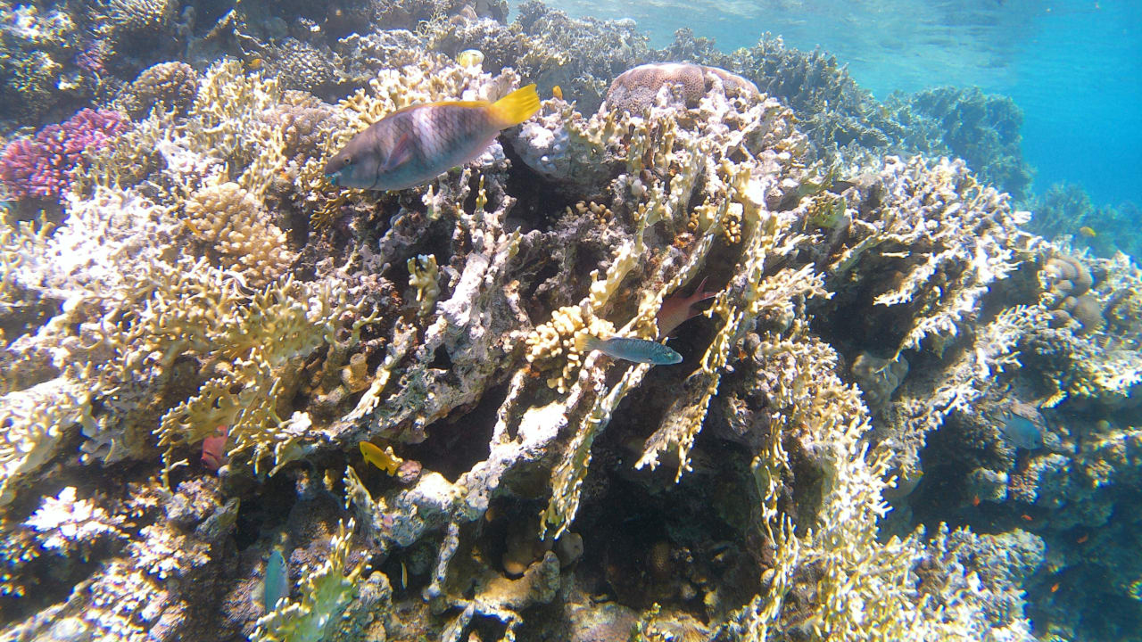 Sport & Freizeit Makadi Spa - Adults only