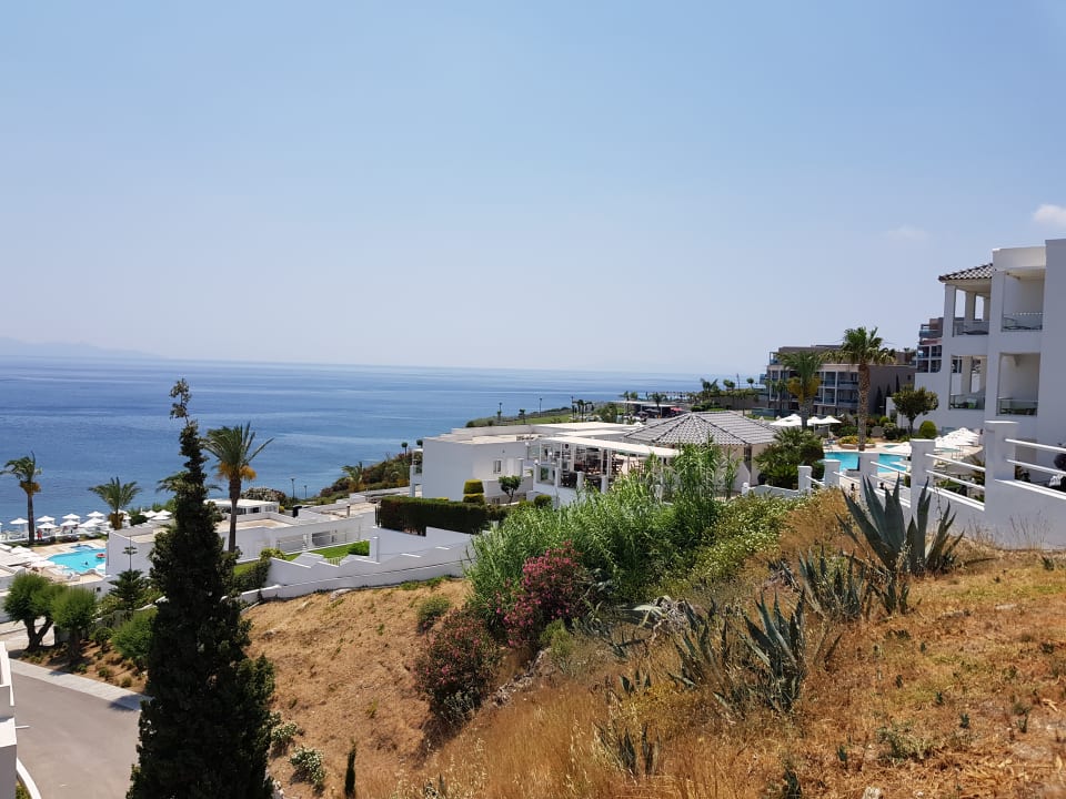 Ausblick Dimitra Beach Hotel & Suites