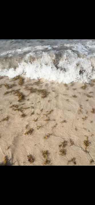 Strand Hotel Riu Palace Punta Cana