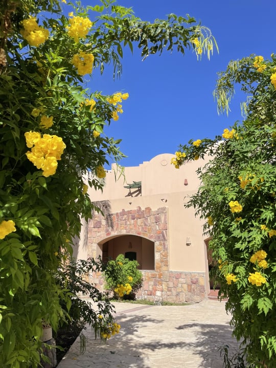 Gartenanlage Shams Alam Beach Resort