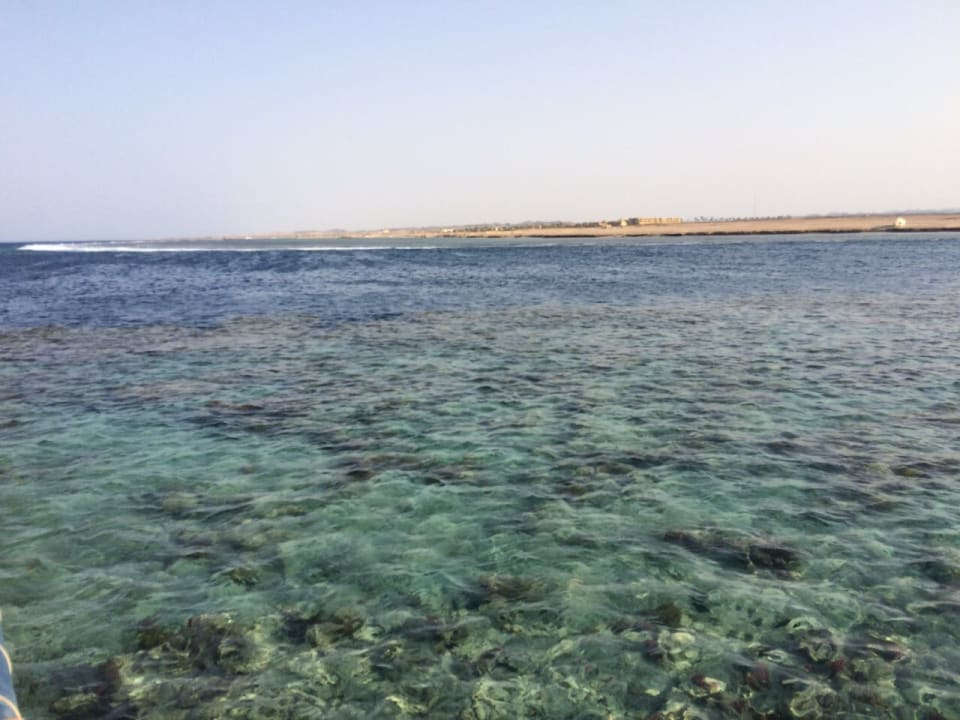 Strand Pickalbatros Sands Hotel - Port Ghalib