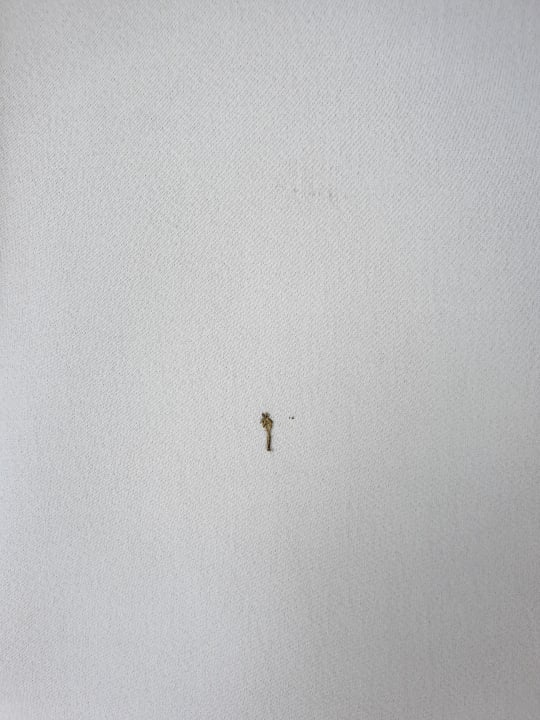 Zimmer Resort De Rijp