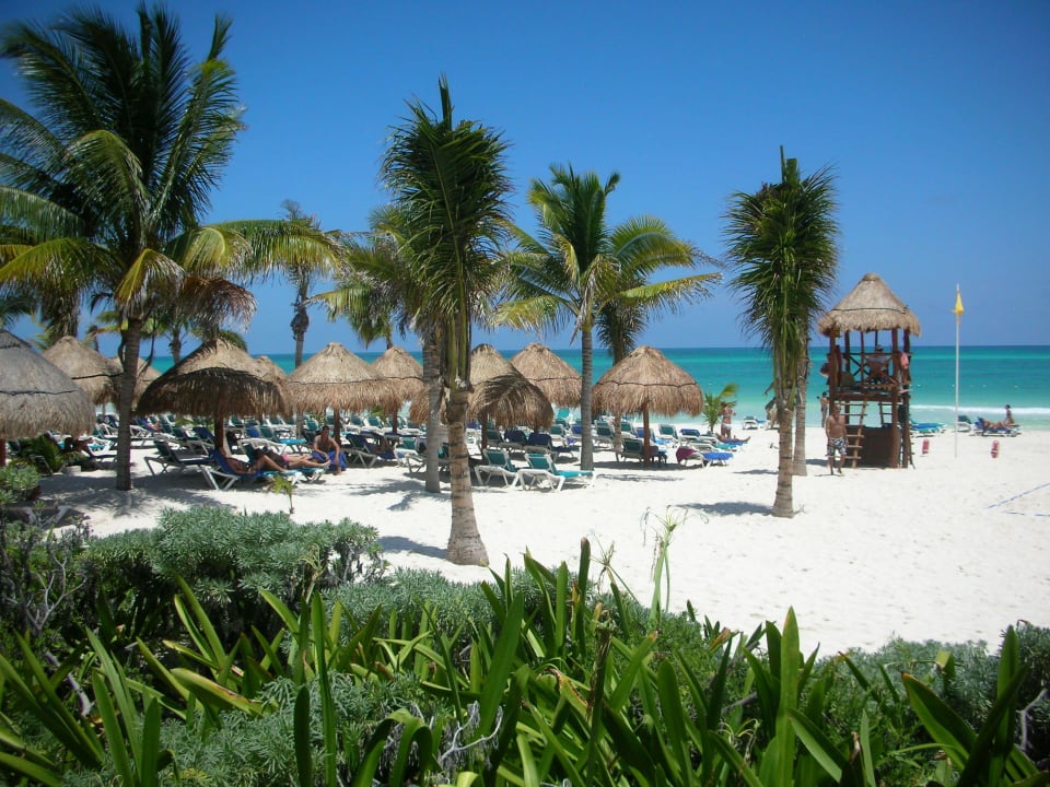 Karibik pur Catalonia Playa Maroma