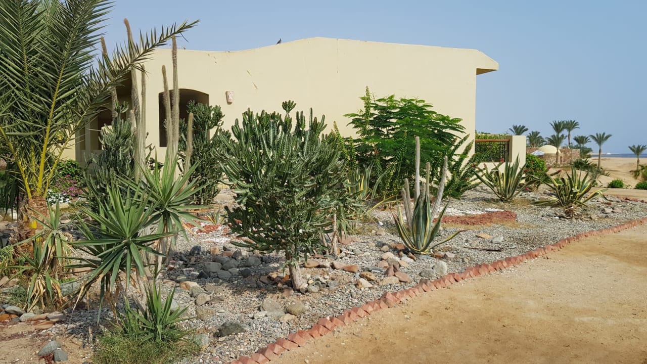 Gastro Three Corners Fayrouz Plaza Beach Resort