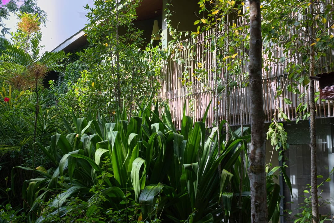 Blick zum Balkon Hotel Belum Rainforest Resort
