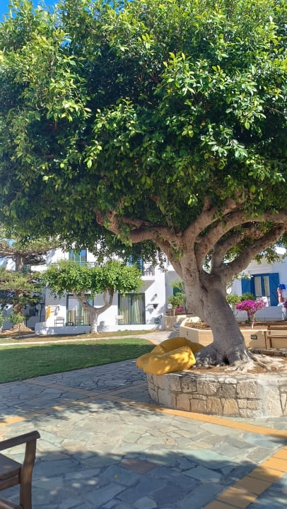 Gartenanlage TUI SUNEO Chrissi Amoudia