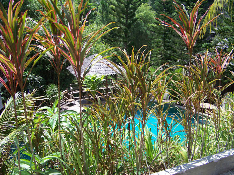 Ausblick Guesthouse Fig Tree Hill