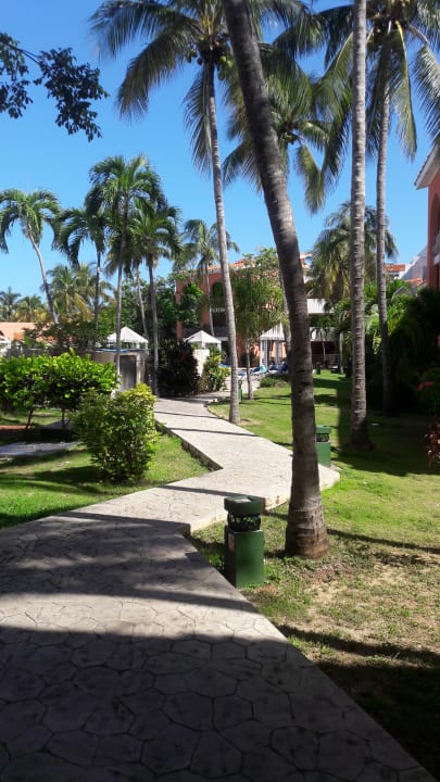 Außenansicht Hotel Roc Barlovento