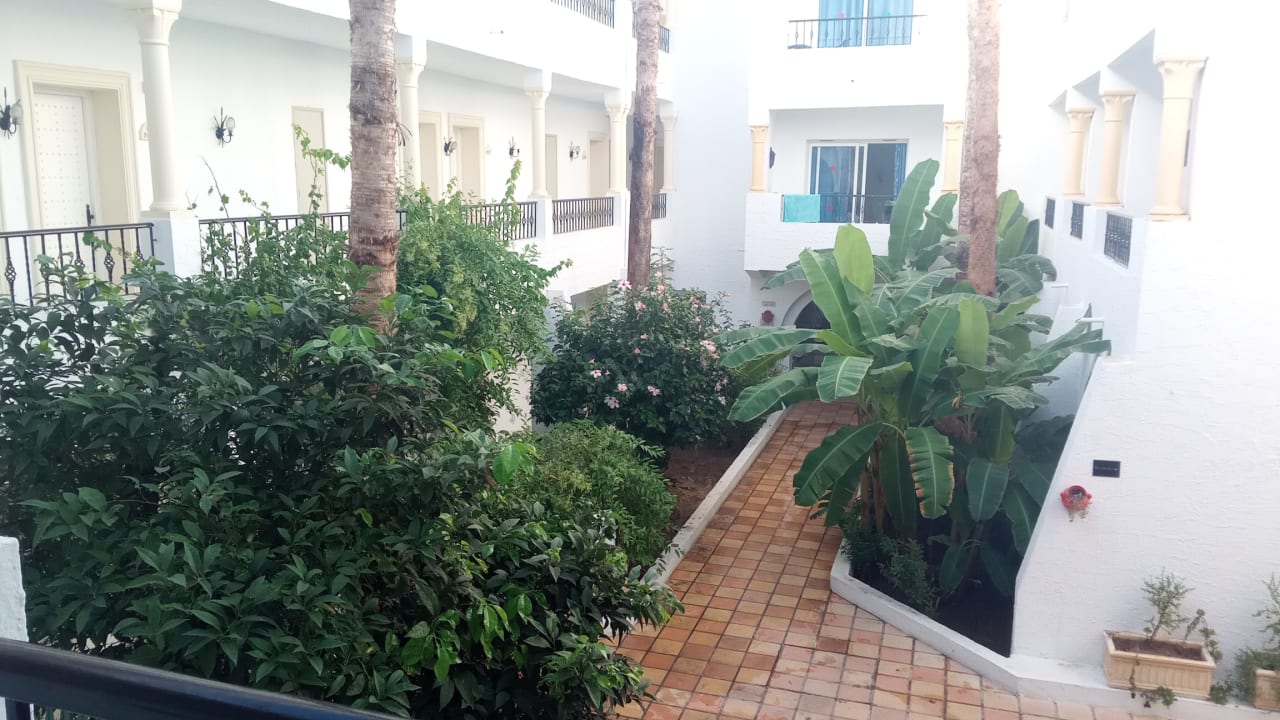 Ausblick Hotel Nesrine