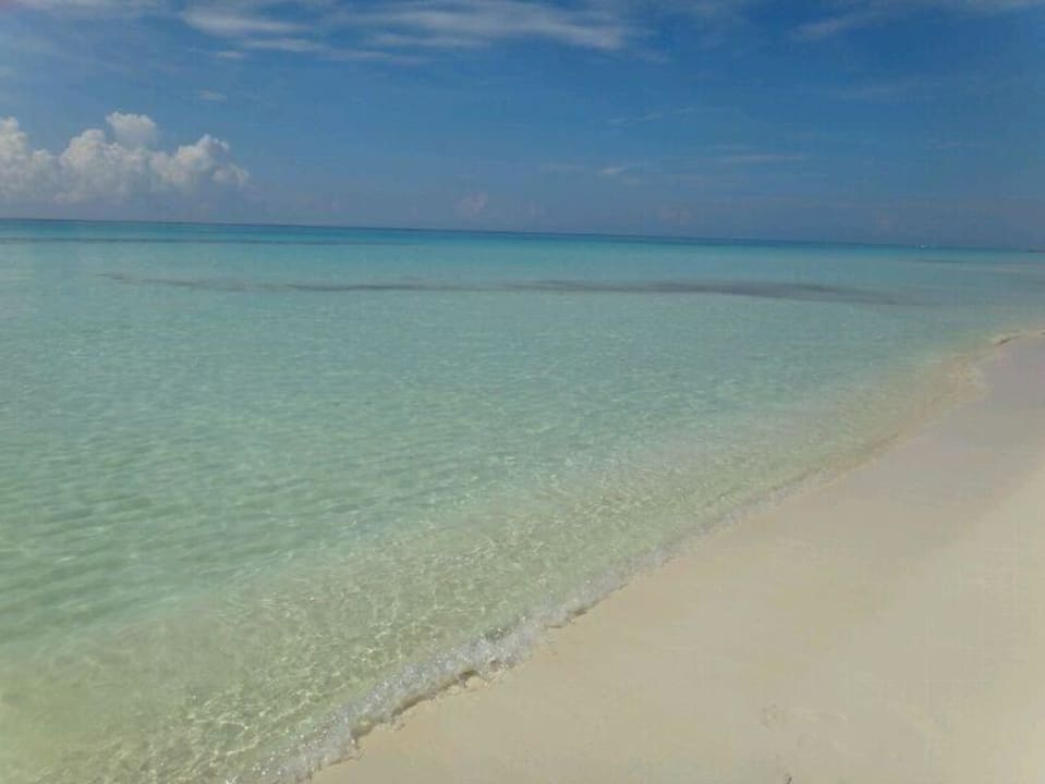 Traumstudio  Sandos Playacar Select Club Adults only - All Inclusive