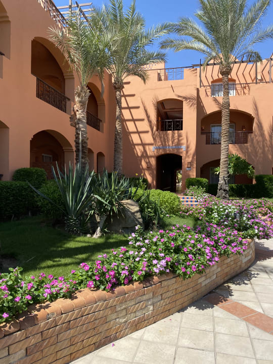 Gartenanlage Jaz Makadi Oasis Resort