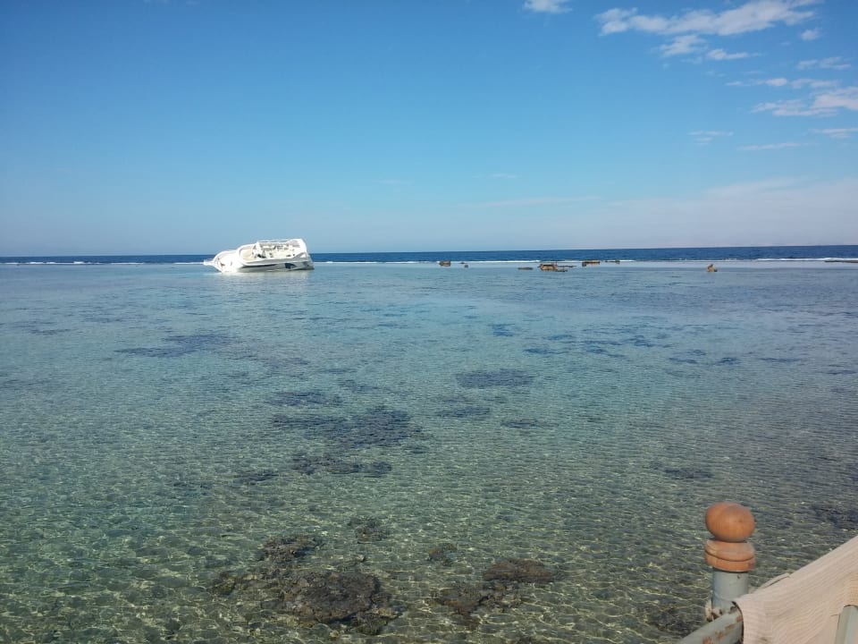 Strand Pickalbatros Royal Moderna Resort-Sharm El Sheikh