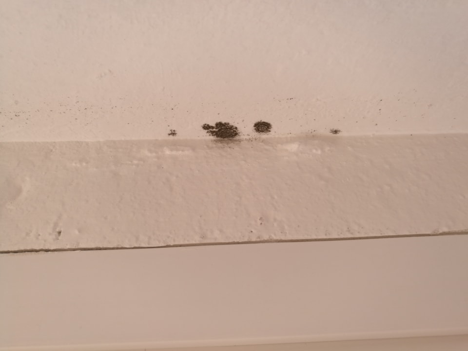 Zimmer Sonnenhotel Zaubek