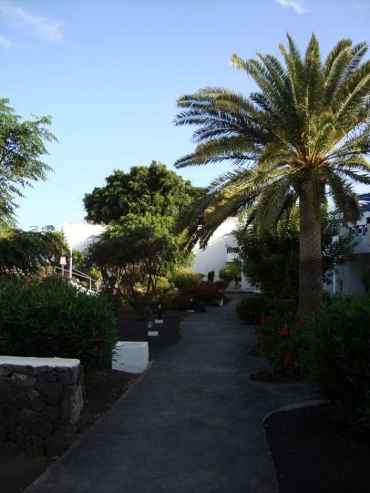 Appartment RIU Olivina Garten Relaxia Olivina