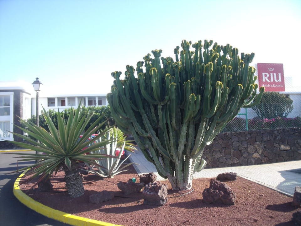 Hotelanlage Relaxia Olivina