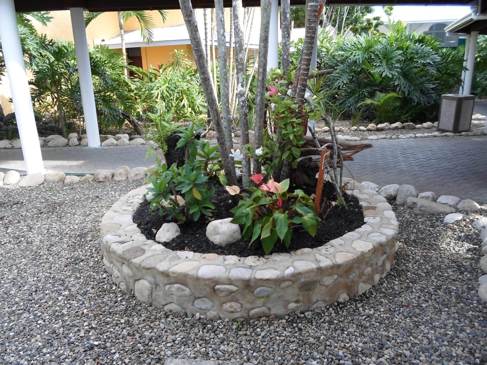  Super gepflegt Grand Paradise Playa Dorada