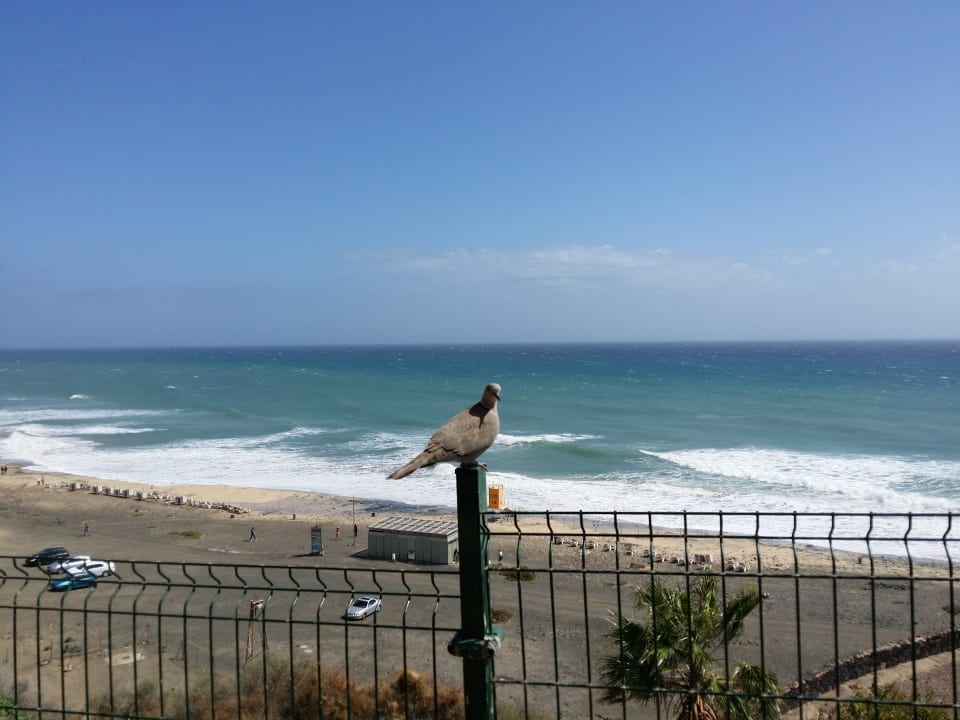 Gastro Club Jandia Princess