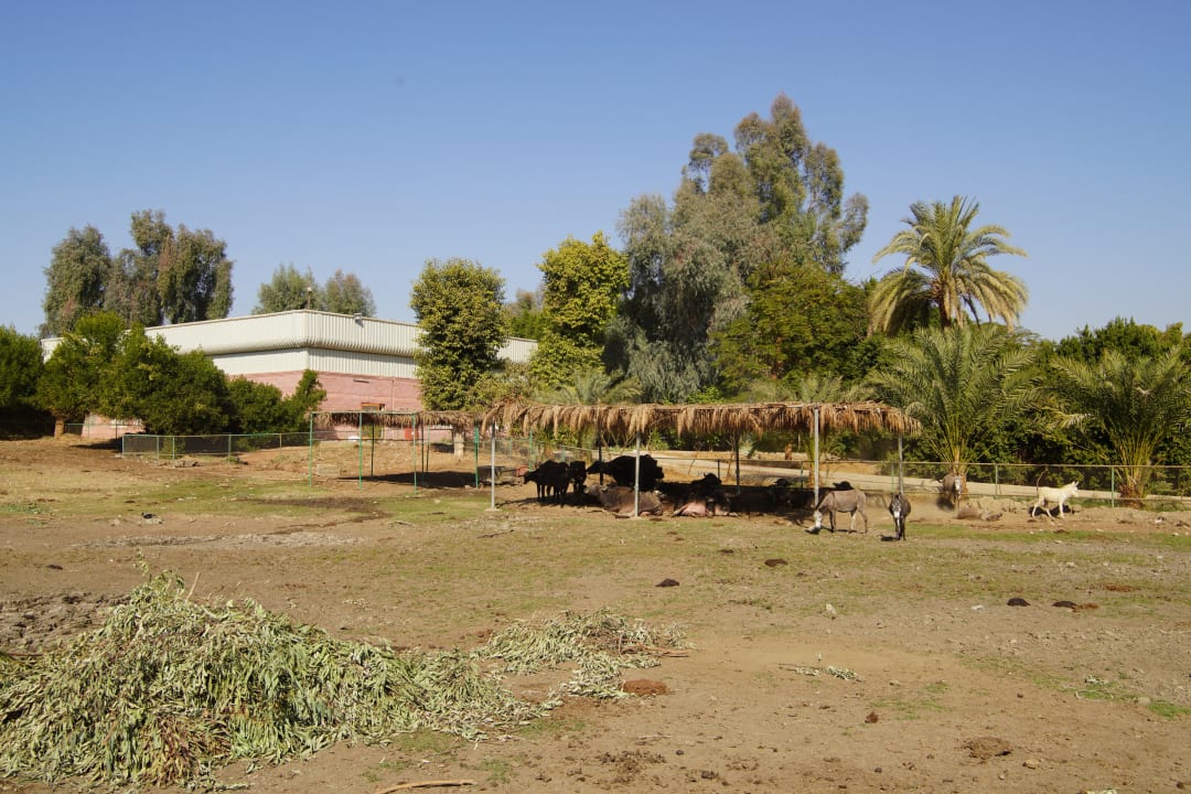 Gartenanlage Jolie Ville Kings Island Luxor