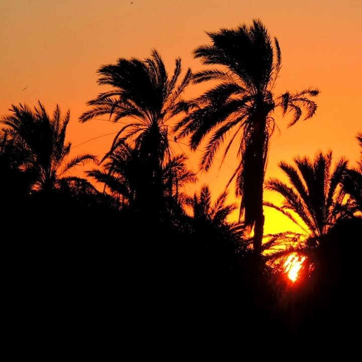 Ausblick Steigenberger Aqua Magic