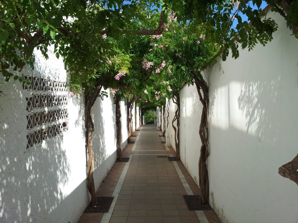 Der lange Weg zum Strand - später Stufen... Hotel Best Siroco