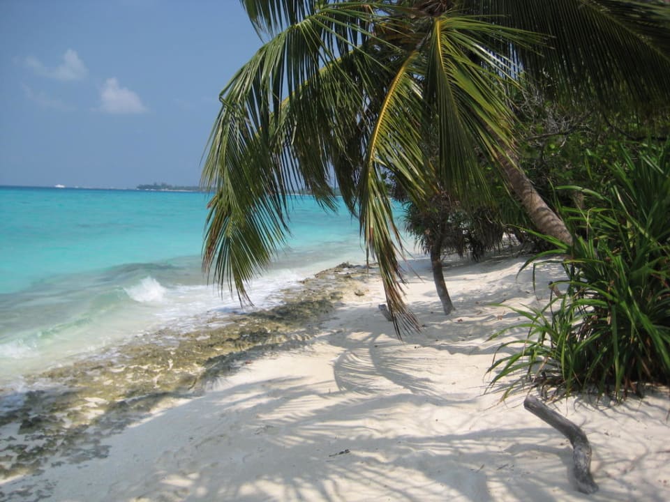 Strand Kuramathi Maldives
