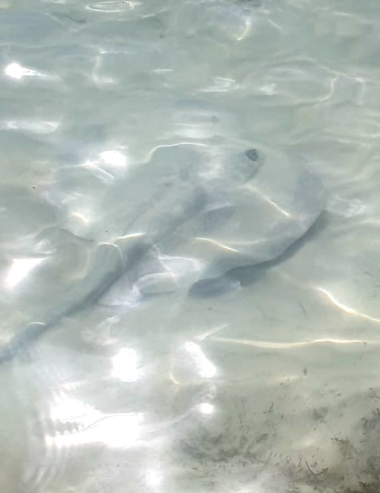 Strand Akumal Bay Beach & Wellness Resort