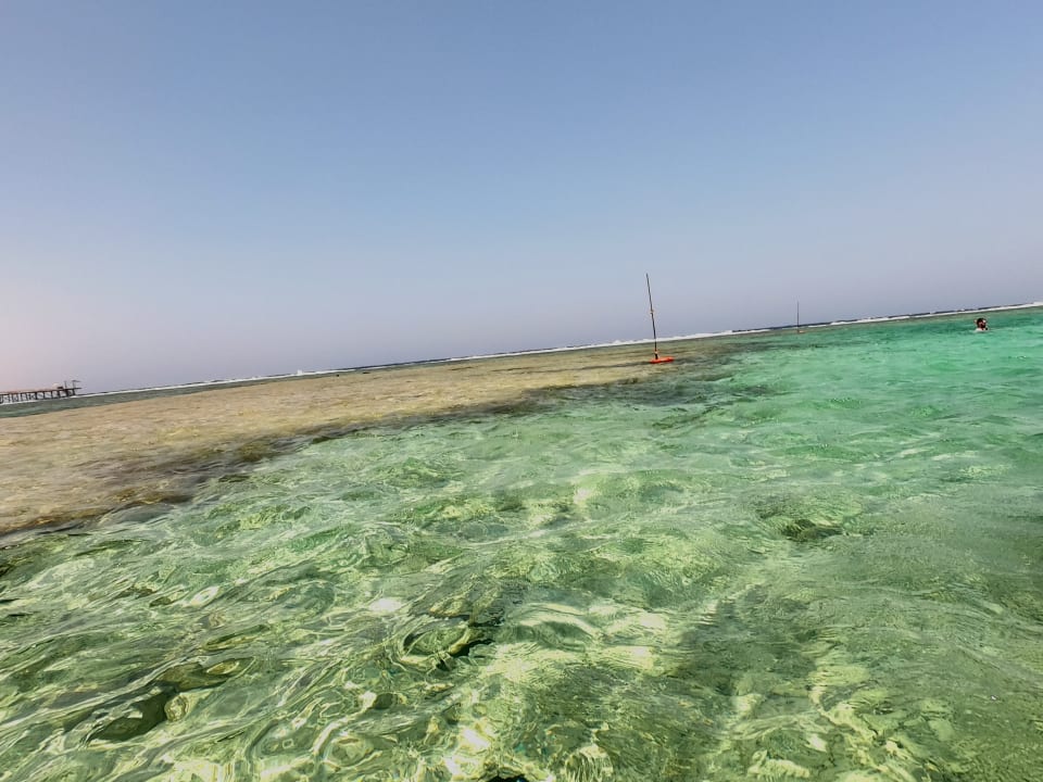 Strand Pickalbatros Sea World Resort - Marsa Alam