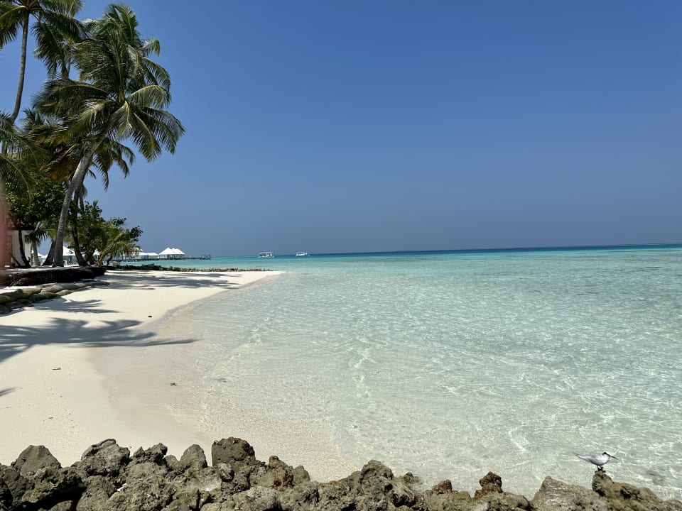 Strand ananea Diamonds Athuruga