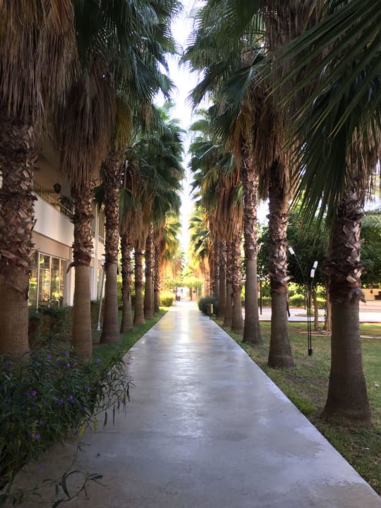 Weg zum Strand  Hotel Royal Garden Beach