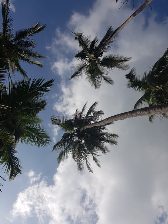 Ausblick Neptune Village Beach Resort & Spa