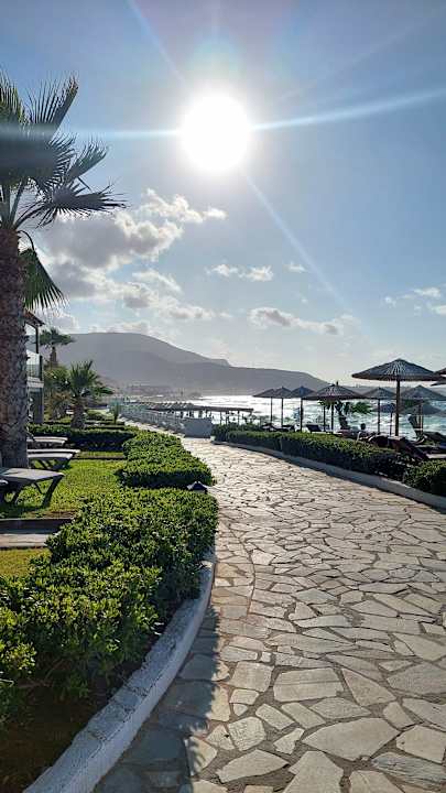 Ausblick Alexander Beach Hotel & Village Resort