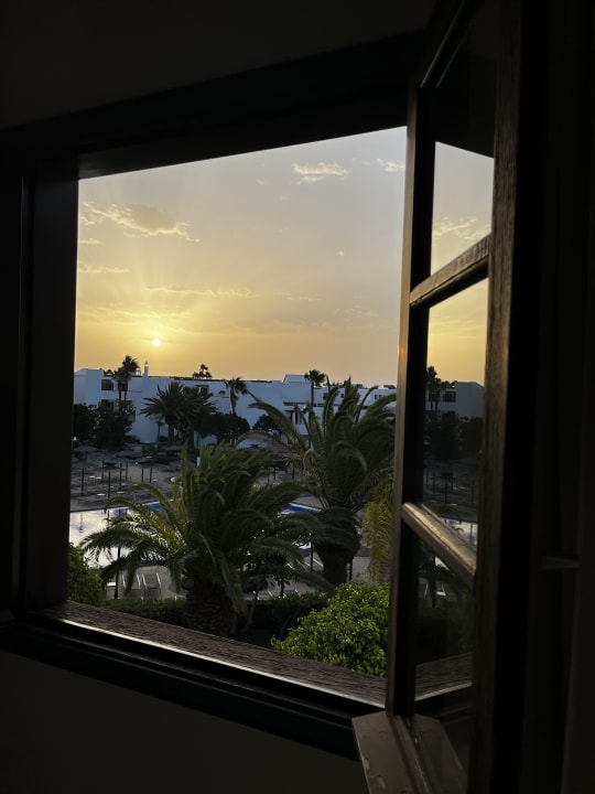 Ausblick allsun App.-Hotel Albatros